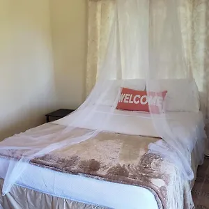Viva Violas Hostel Port Antonio
